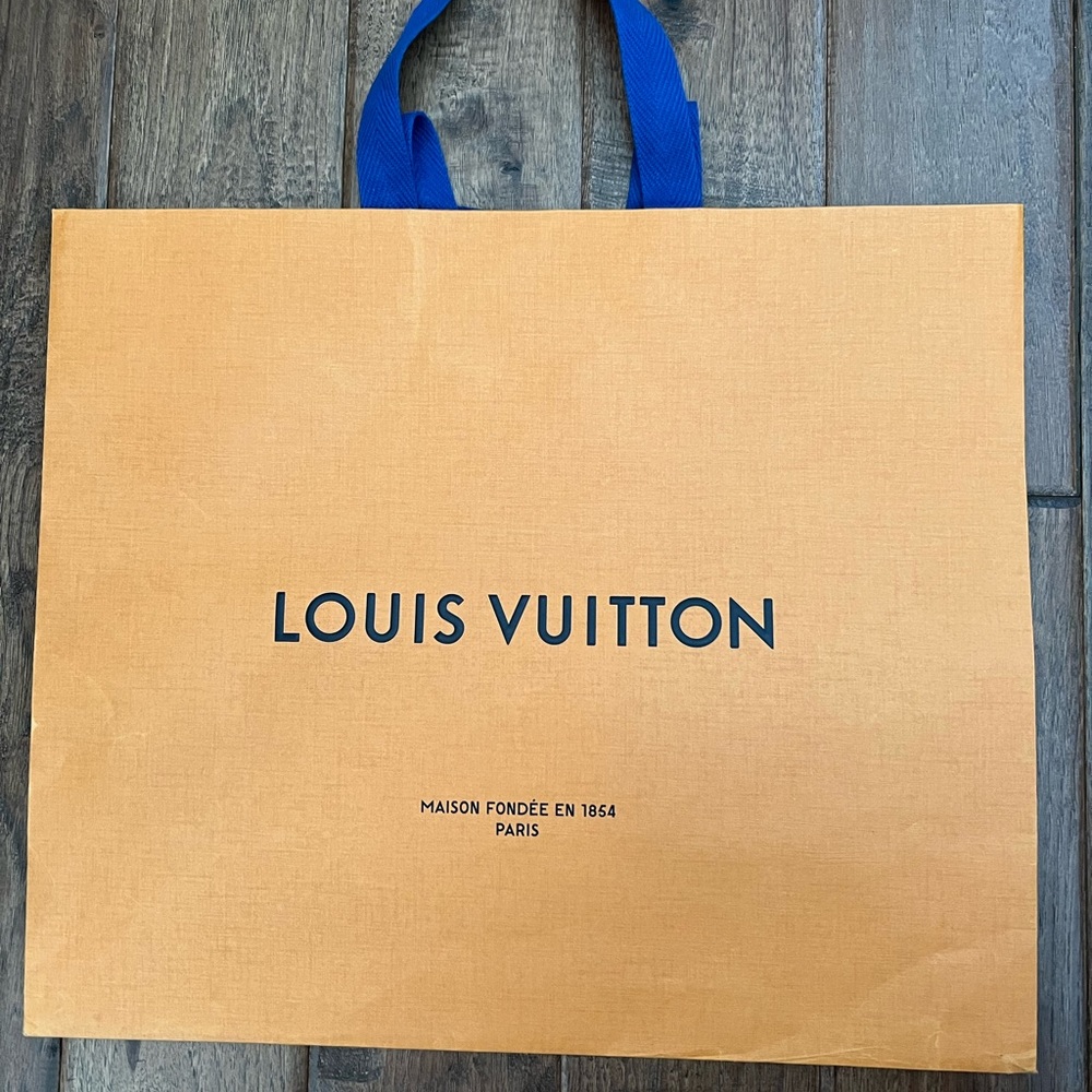 Louis Vuitton shopping bag